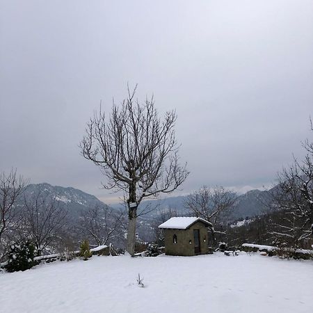 Παραδοσιακή Πέτρινη Κατοικία Στην Βλάχα Ελάτης Luaran gambar