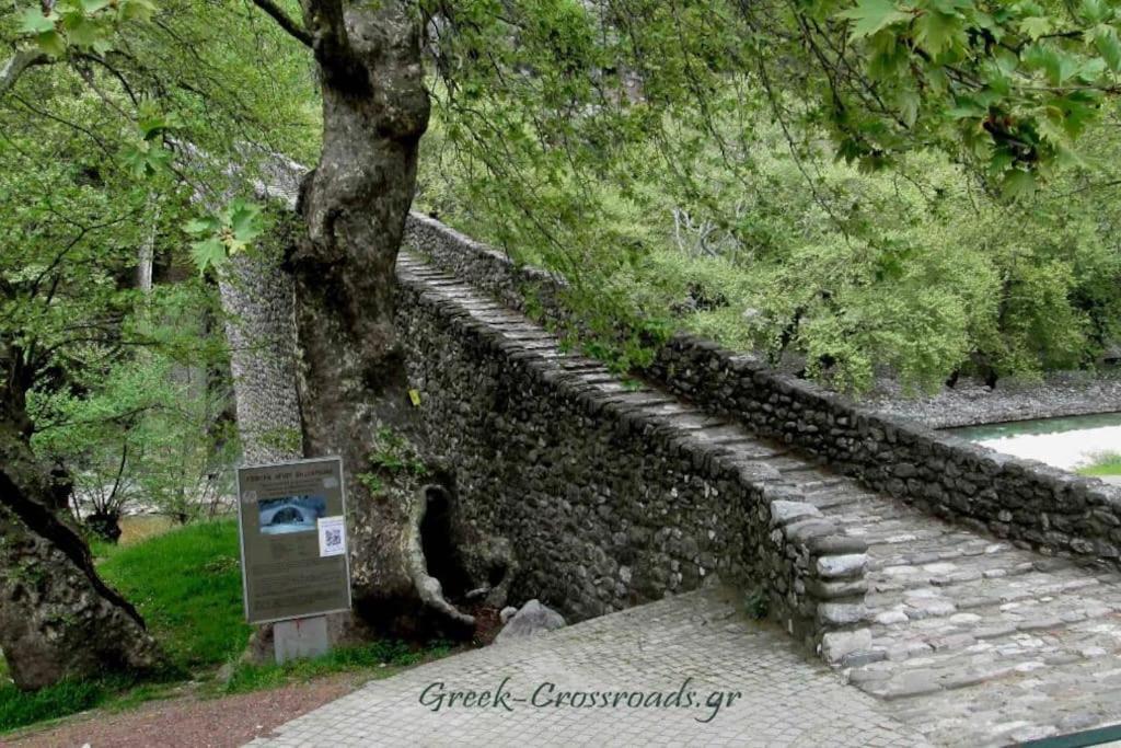 Παραδοσιακή Πέτρινη Κατοικία Στην Βλάχα Ελάτης Luaran gambar