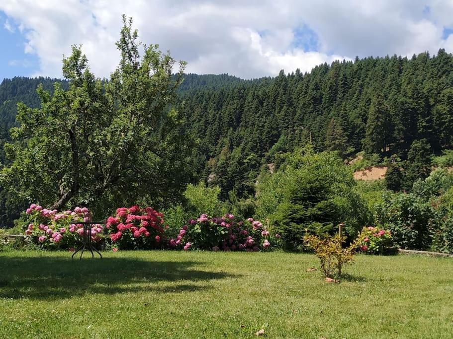 Παραδοσιακή Πέτρινη Κατοικία Στην Βλάχα Ελάτης Luaran gambar