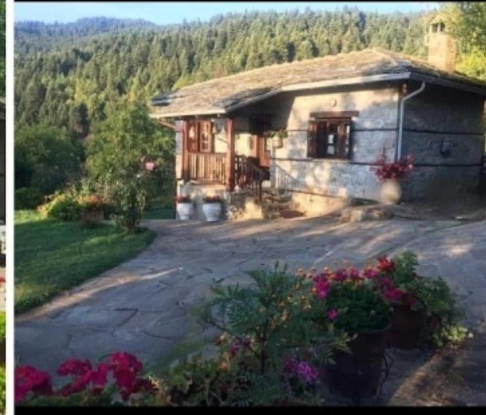 Παραδοσιακή Πέτρινη Κατοικία Στην Βλάχα Ελάτης Luaran gambar